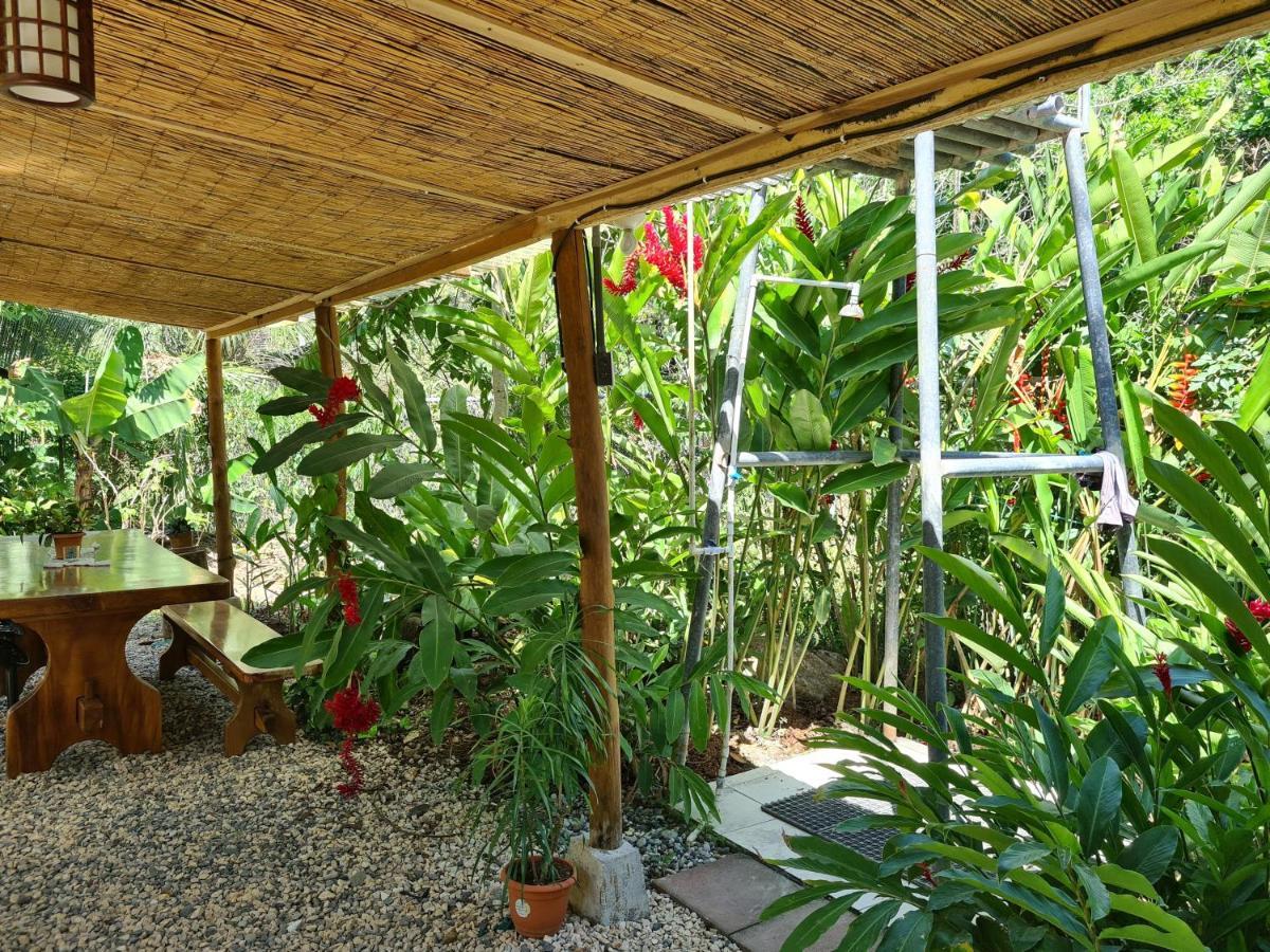 Trebolmar Apartments For Remote Work Playa Santa Teresa  Luaran gambar
