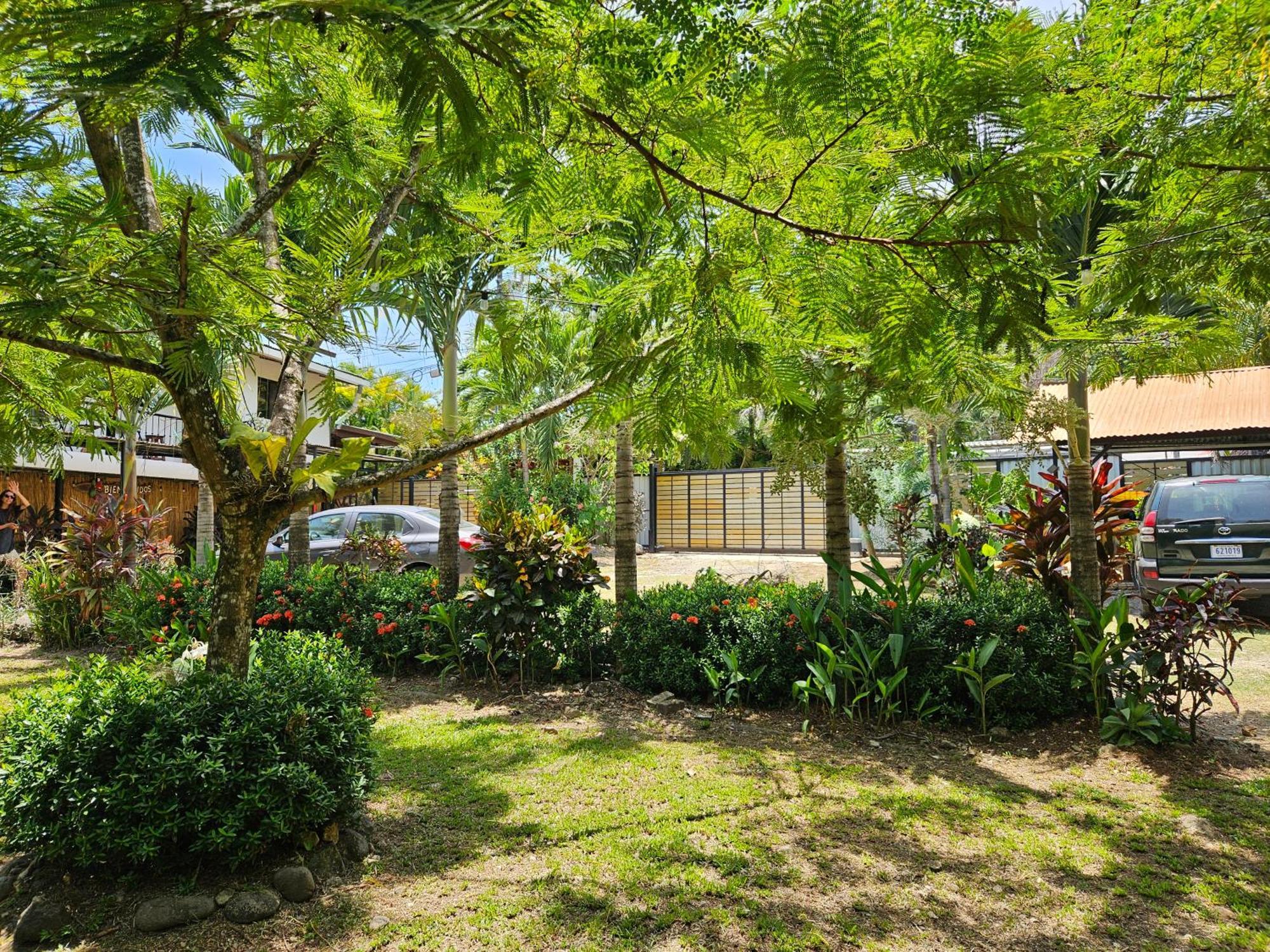 Trebolmar Apartments For Remote Work Playa Santa Teresa  Luaran gambar